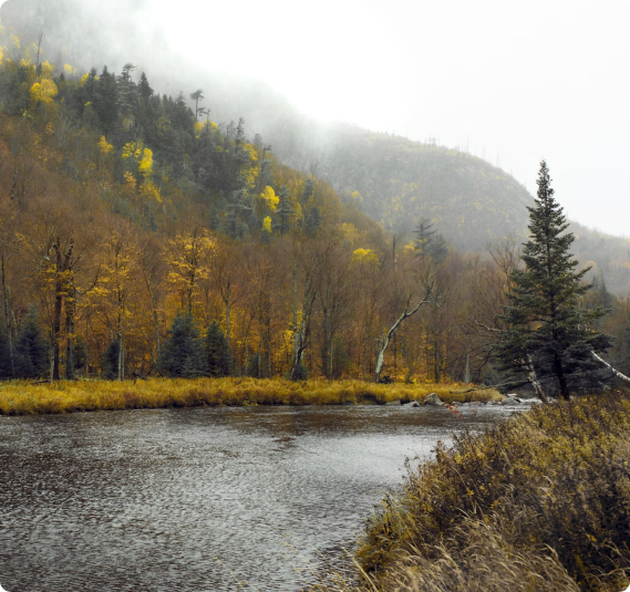 Poslovi u Lake Placid-u
