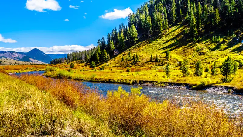 Bozeman